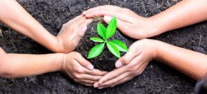 Comment votre environnement influence vos succès